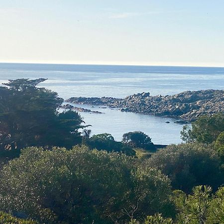 Maison De Pecheur Superbe Vue Mer, Grand Jardin Cadaqués Exteriör bild