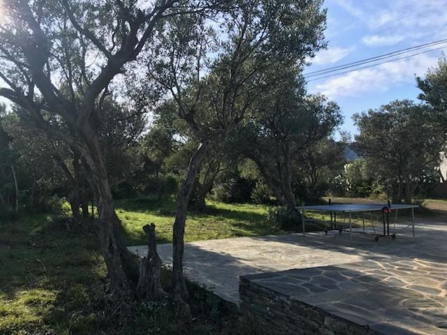 Maison De Pecheur Superbe Vue Mer, Grand Jardin Cadaqués Exteriör bild